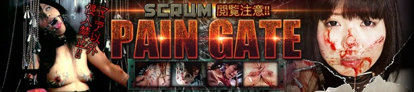 PAIN GATE バナー